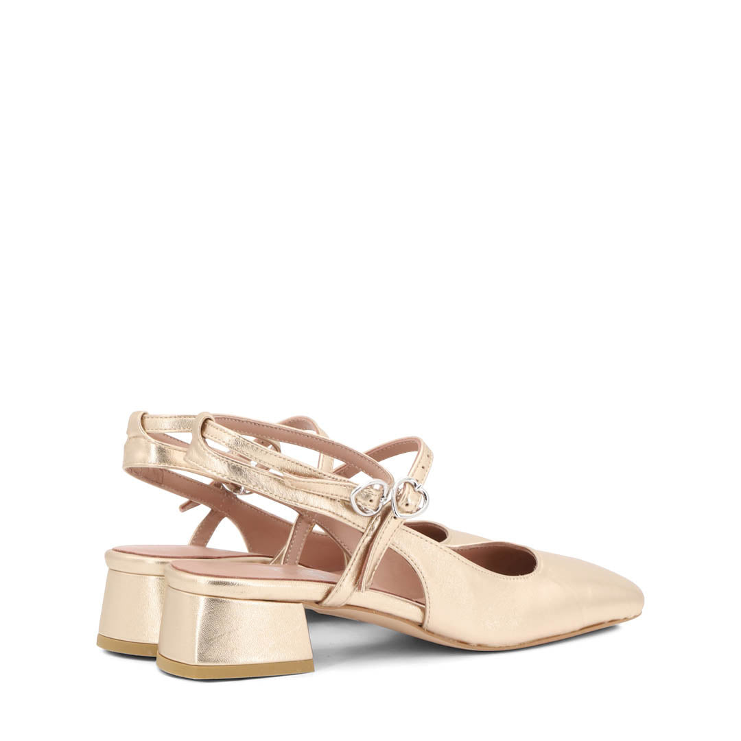 SCARPA GAIA